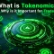 What is Tokenomics